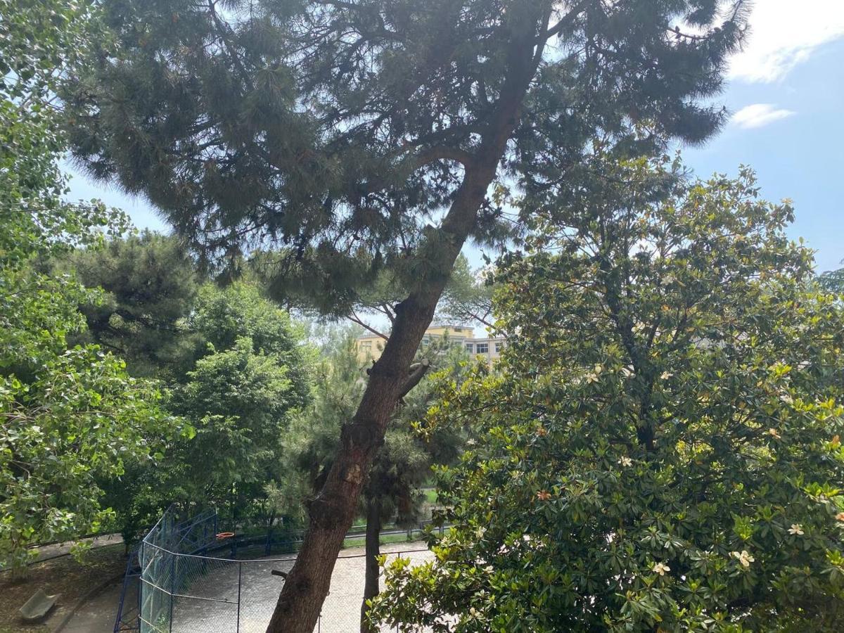 فندق Oasi Verde نابولي المظهر الخارجي الصورة